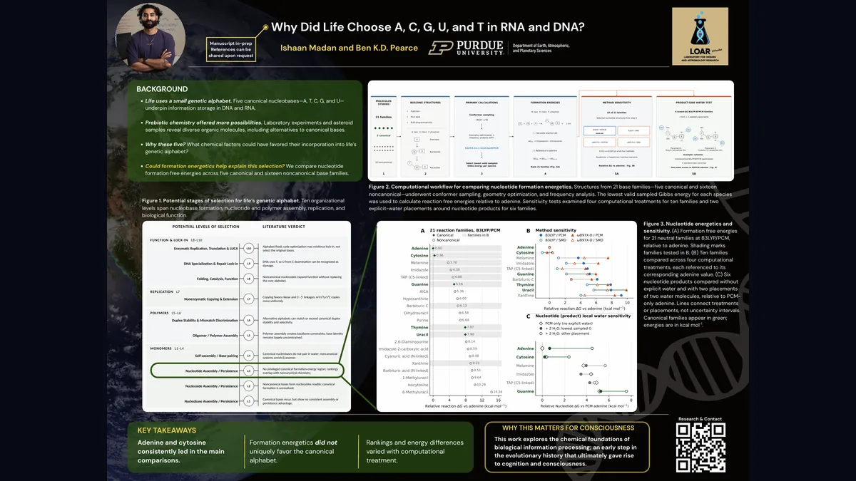 Preview of the TSC 2026 poster on the origins of life's genetic alphabet