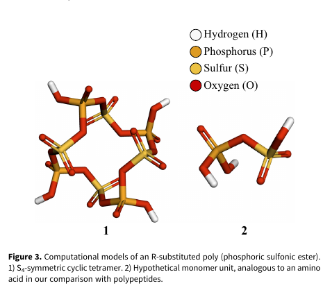 Published molecular models: a cyclic phosphorus-sulfur polymer model beside a monomer-like precursor.